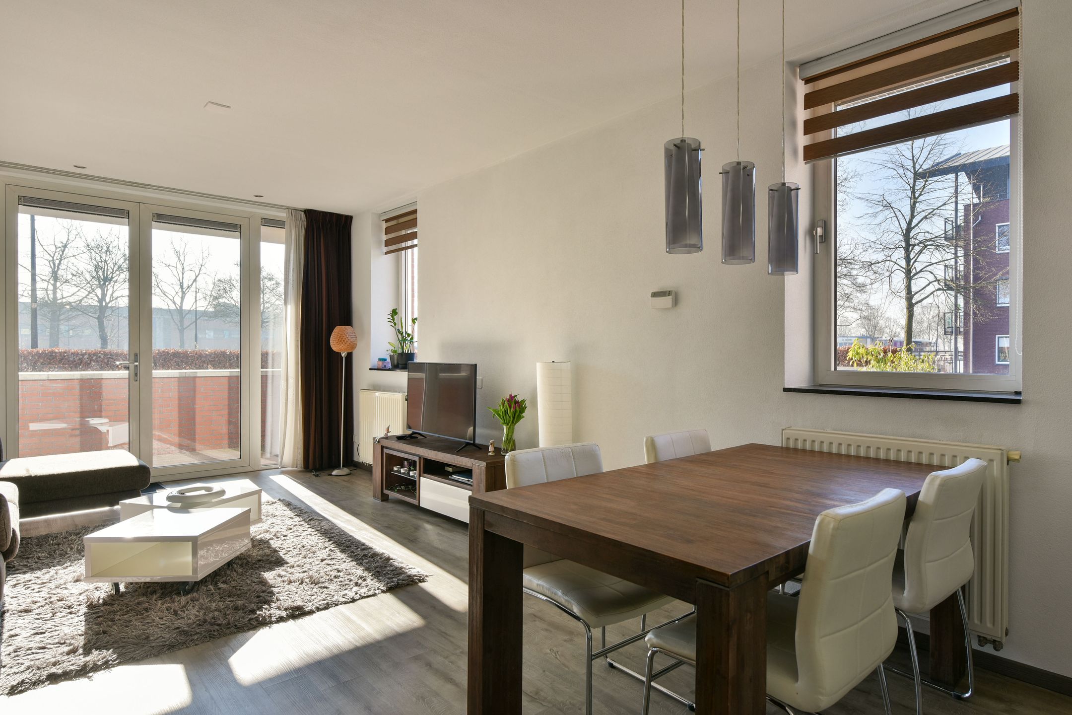 Foto 9 van Rietgans 3