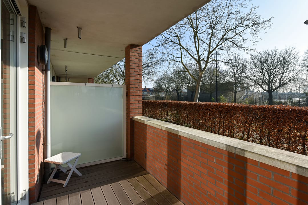 Foto 13 van Rietgans 3