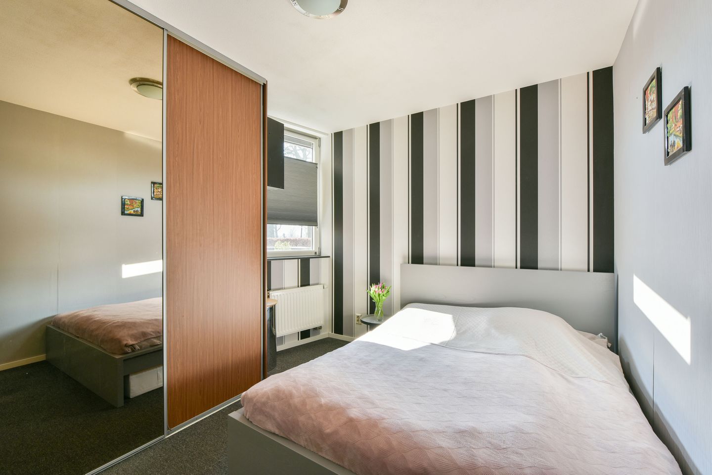 Foto 14 van Rietgans 3