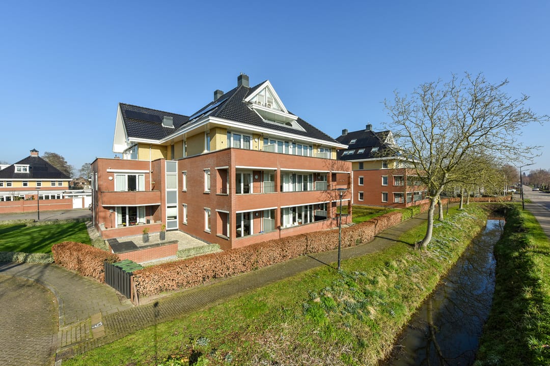 Foto 17 van Rietgans 3