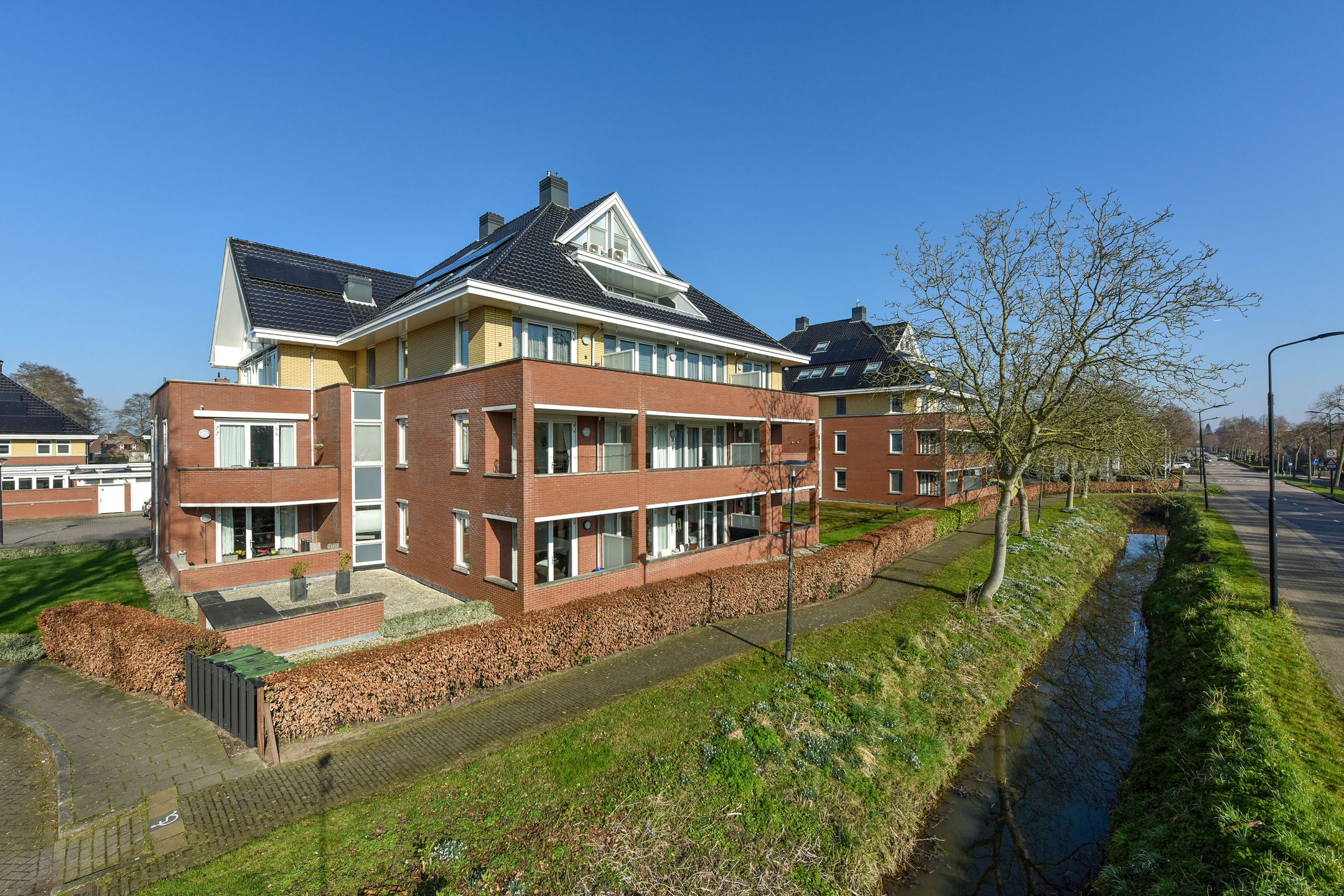 Foto 18 van Rietgans 3