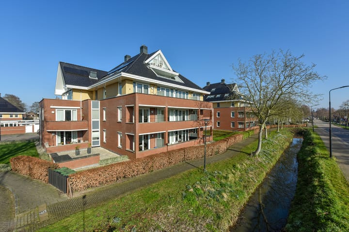 Foto 18 van Rietgans 3