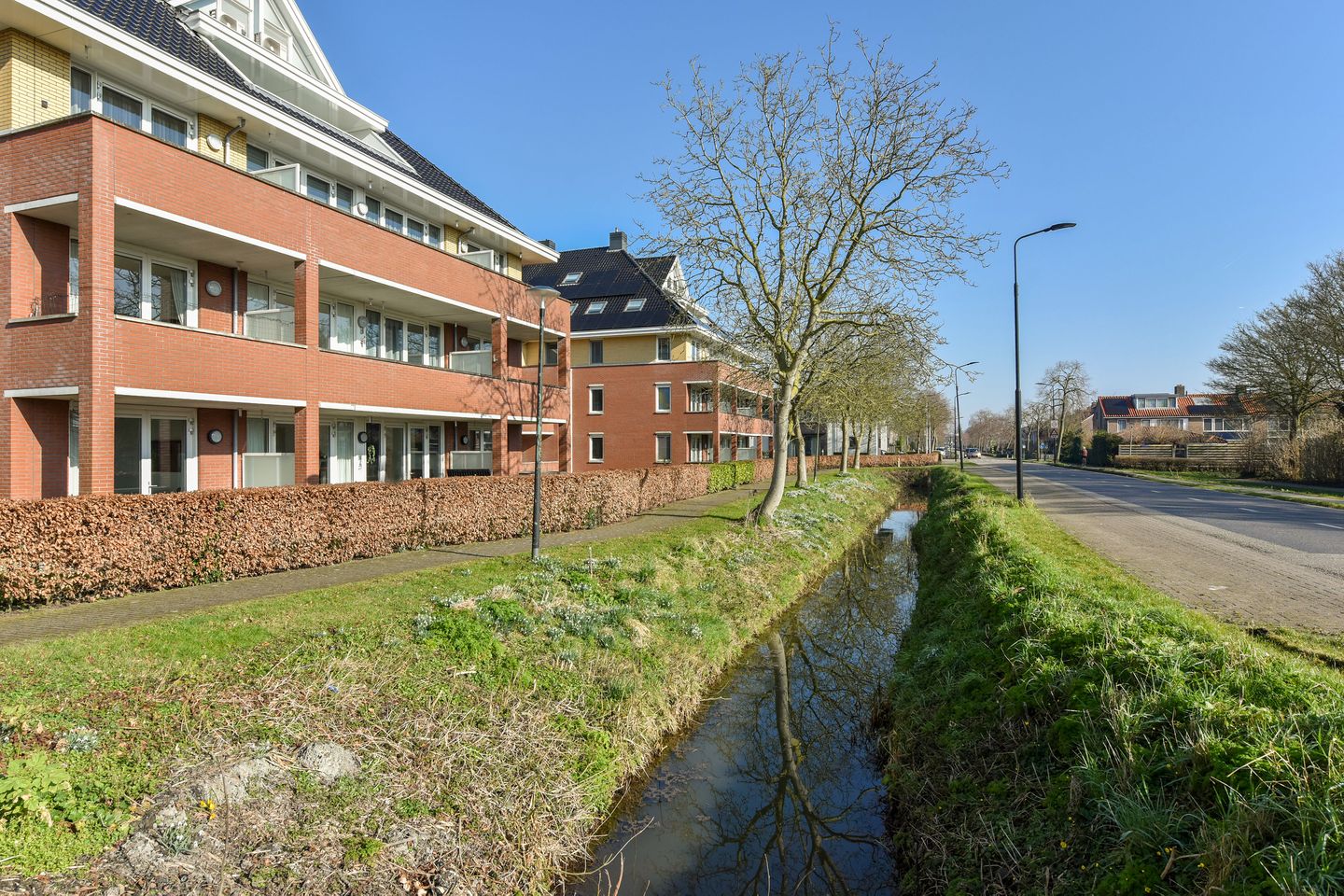 Foto 19 van Rietgans 3