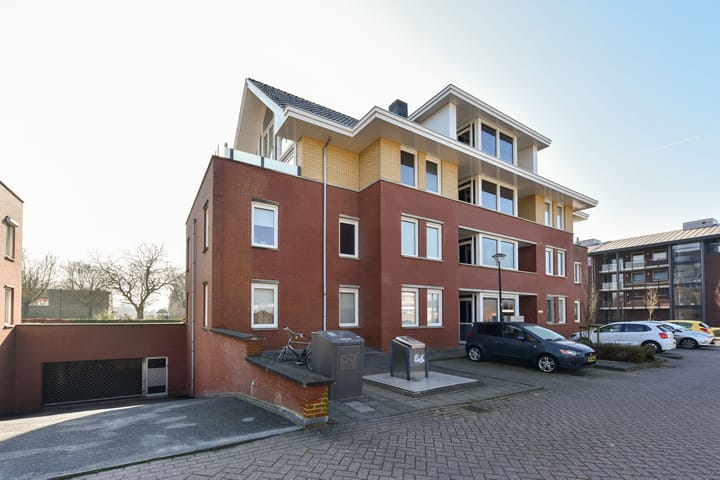 Foto 20 van Rietgans 3