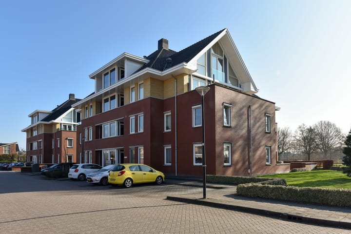 Foto 21 van Rietgans 3