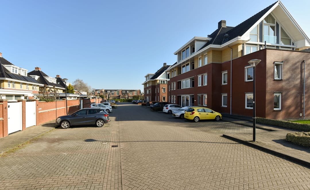 Foto 23 van Rietgans 3