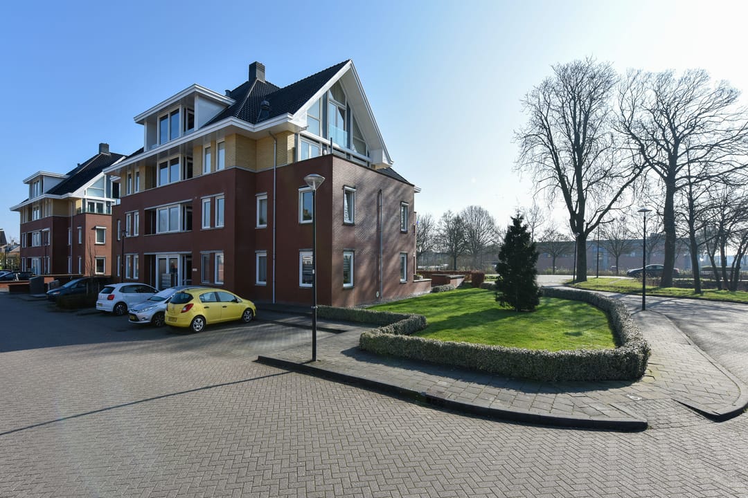 Foto 22 van Rietgans 3