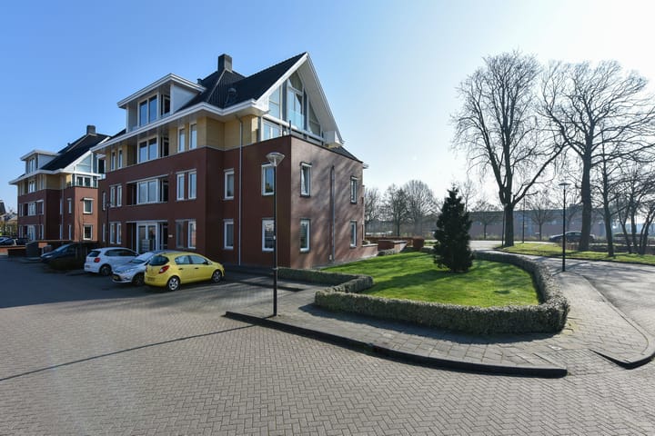 Foto 22 van Rietgans 3