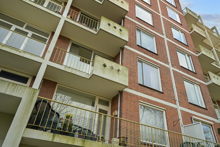 Photo 7 of Ranonkelstraat 43