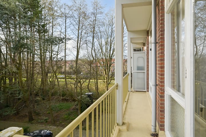 Photo 20 of Ranonkelstraat 43