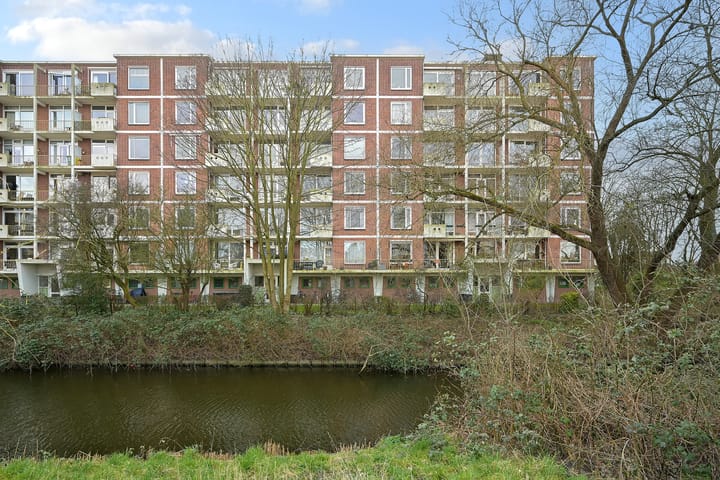 Photo 29 of Ranonkelstraat 43