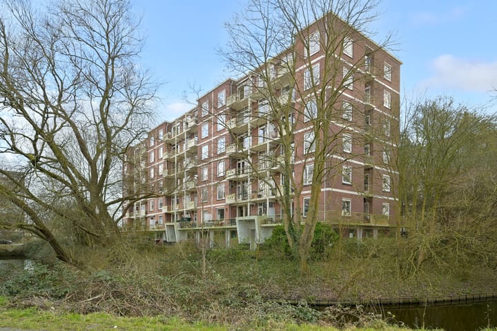 Photo 30 of Ranonkelstraat 43