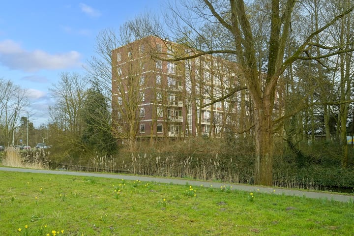 Photo 31 of Ranonkelstraat 43