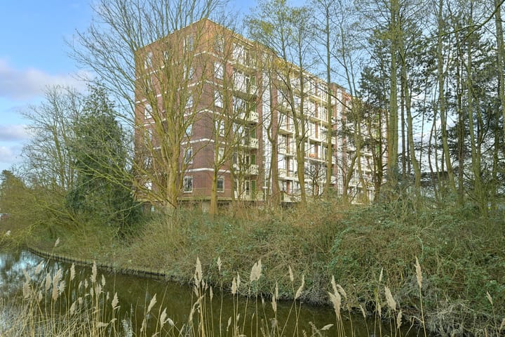 Photo 32 of Ranonkelstraat 43