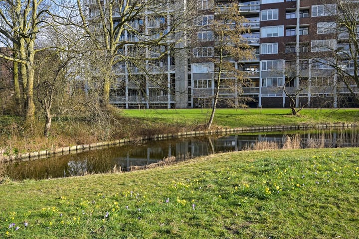 Photo 34 of Ranonkelstraat 43