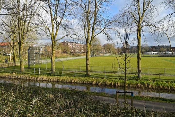 Photo 35 of Ranonkelstraat 43