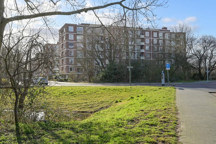 Photo 36 of Ranonkelstraat 43