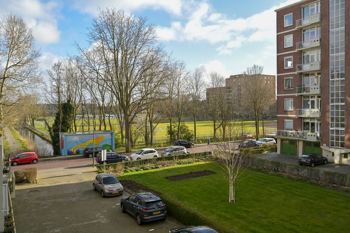 Photo 37 of Ranonkelstraat 43