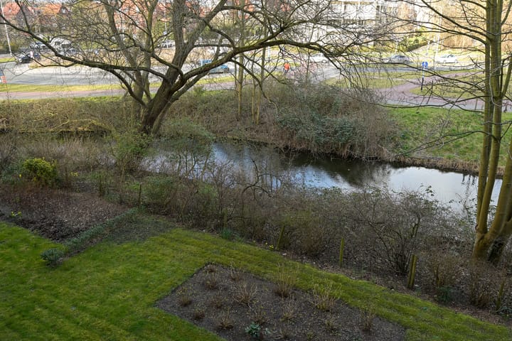 Photo 38 of Ranonkelstraat 43