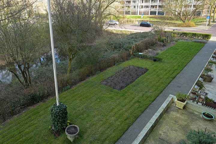 Photo 39 of Ranonkelstraat 43