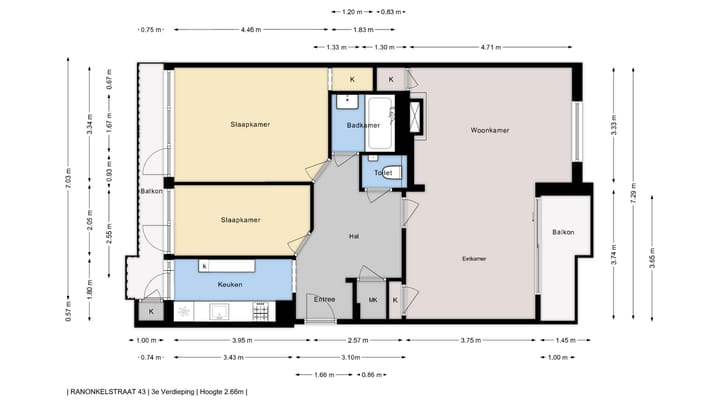 Photo 41 of Ranonkelstraat 43