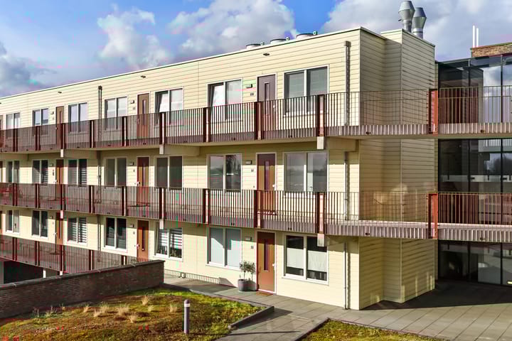 Foto 4 van Basilica 75