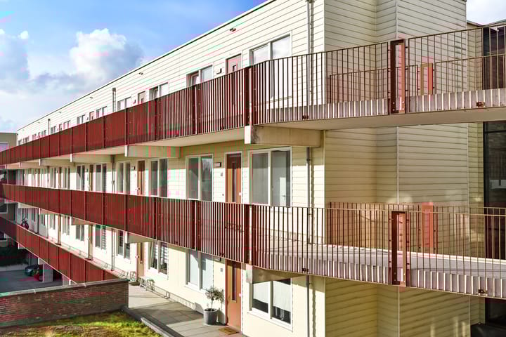 Foto 5 van Basilica 75