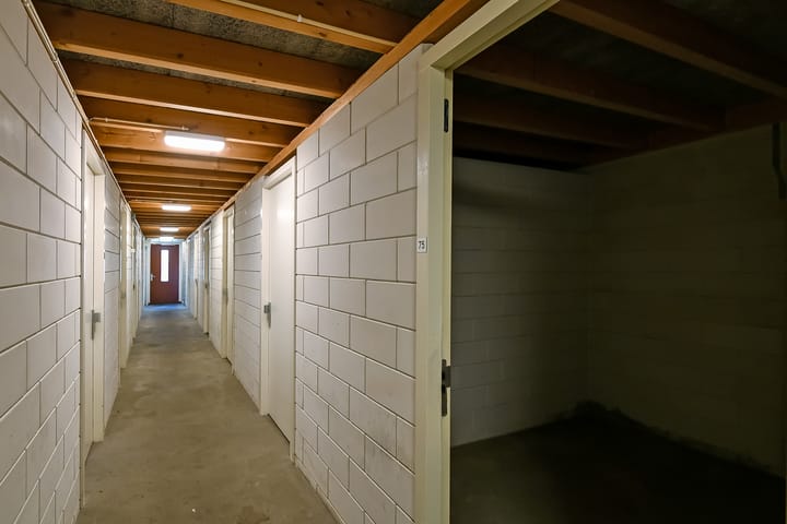 Foto 35 van Basilica 75