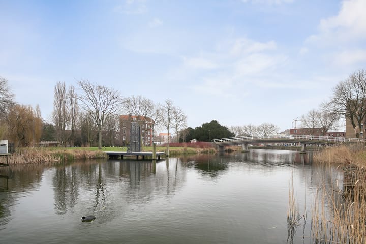 Foto 37 van Zwaanshals 232