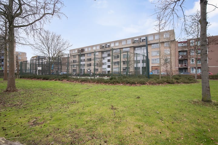 Foto 39 van Zwaanshals 232