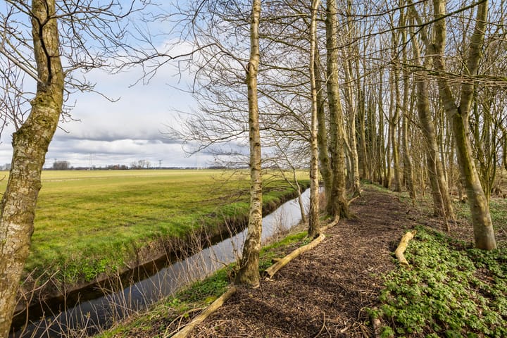 Foto 49 van Aldemiede 12