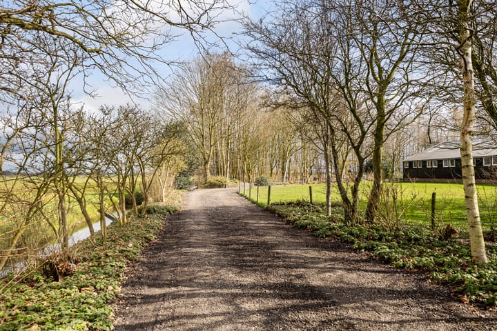 Foto 50 van Aldemiede 12