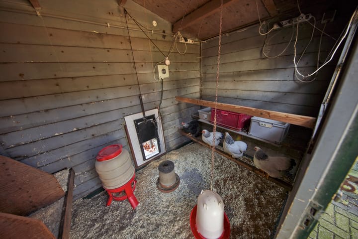 Foto 79 van Huizingerstuk 4