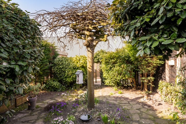 Foto 16 van Meppelrade 135