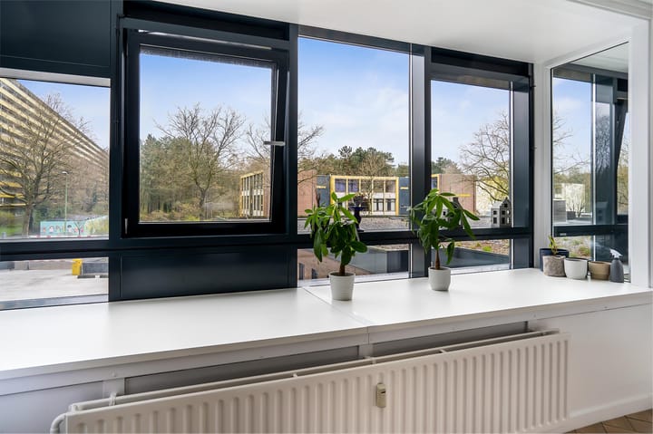 Foto 19 van Laan van Vollenhove 74