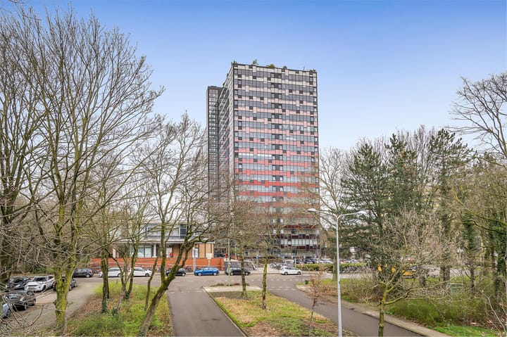 Foto 36 van Laan van Vollenhove 74