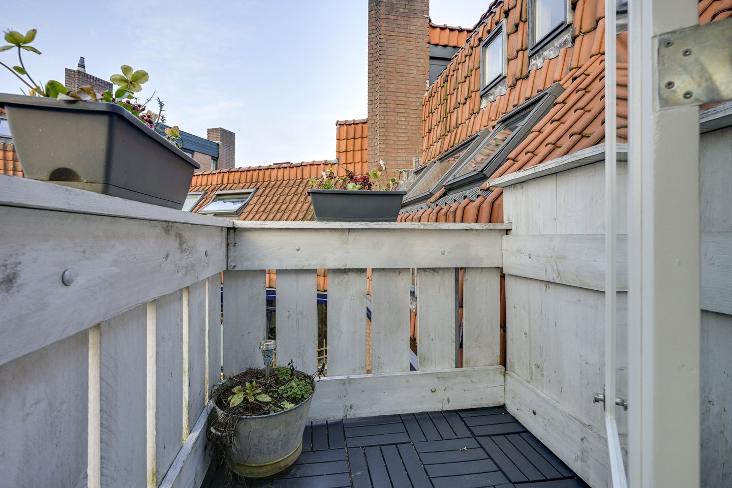 Foto 10 van Putter 14