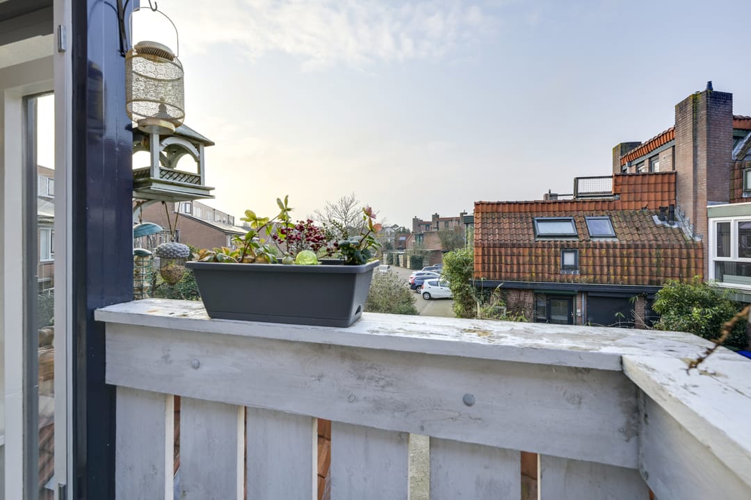 Foto 11 van Putter 14