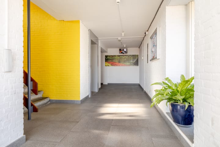 Foto 7 van Vuchtstraat 142