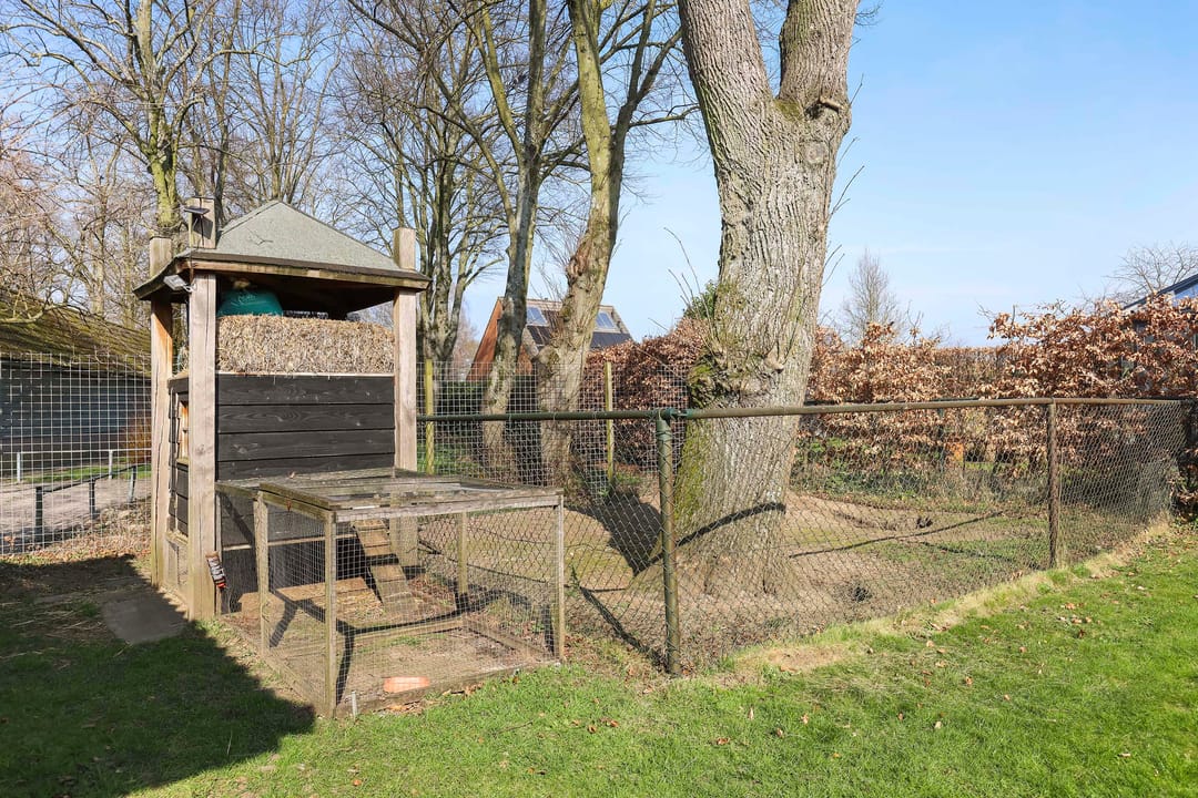 Foto 28 van Lupineweg 25