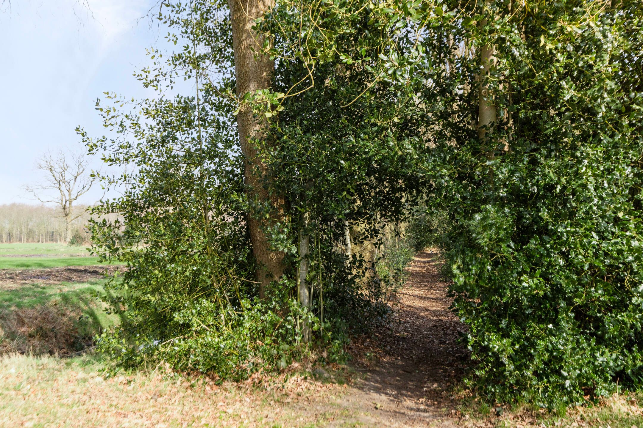 Foto 33 van Hoofdweg 277