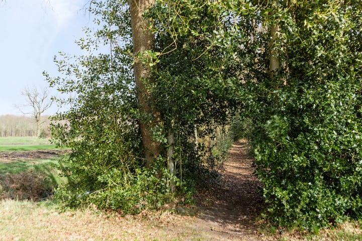 Foto 33 van Hoofdweg 277