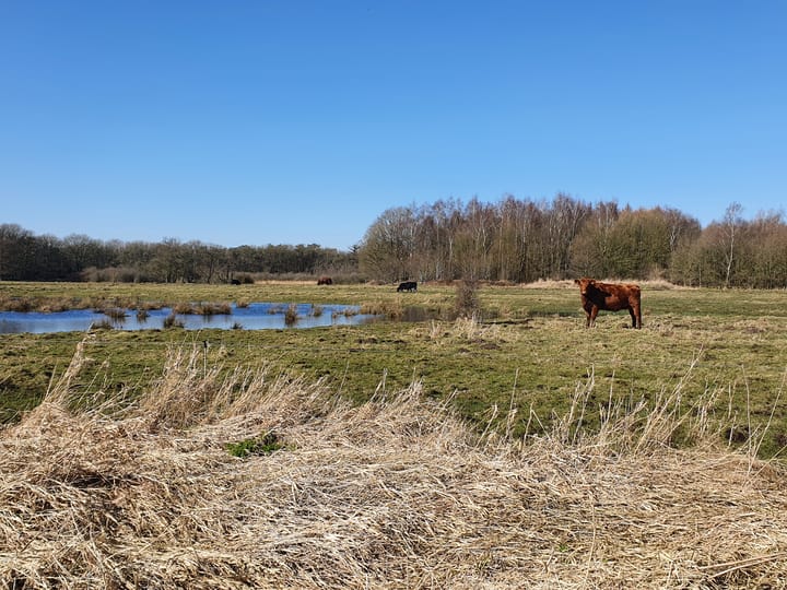 Foto 38 van Hoofdweg 277