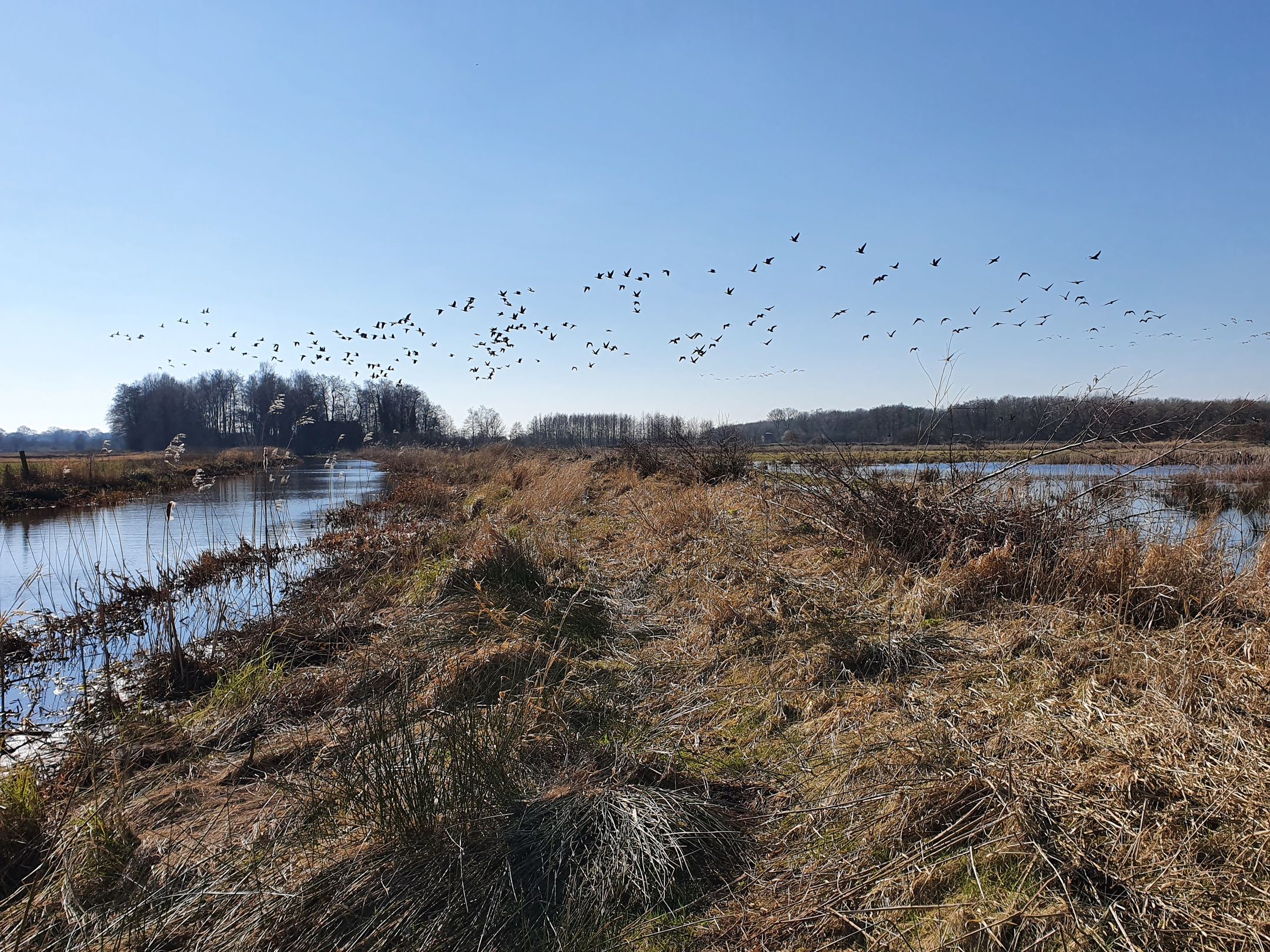 Foto 39 van Hoofdweg 277