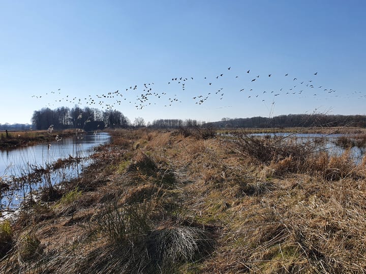 Foto 39 van Hoofdweg 277