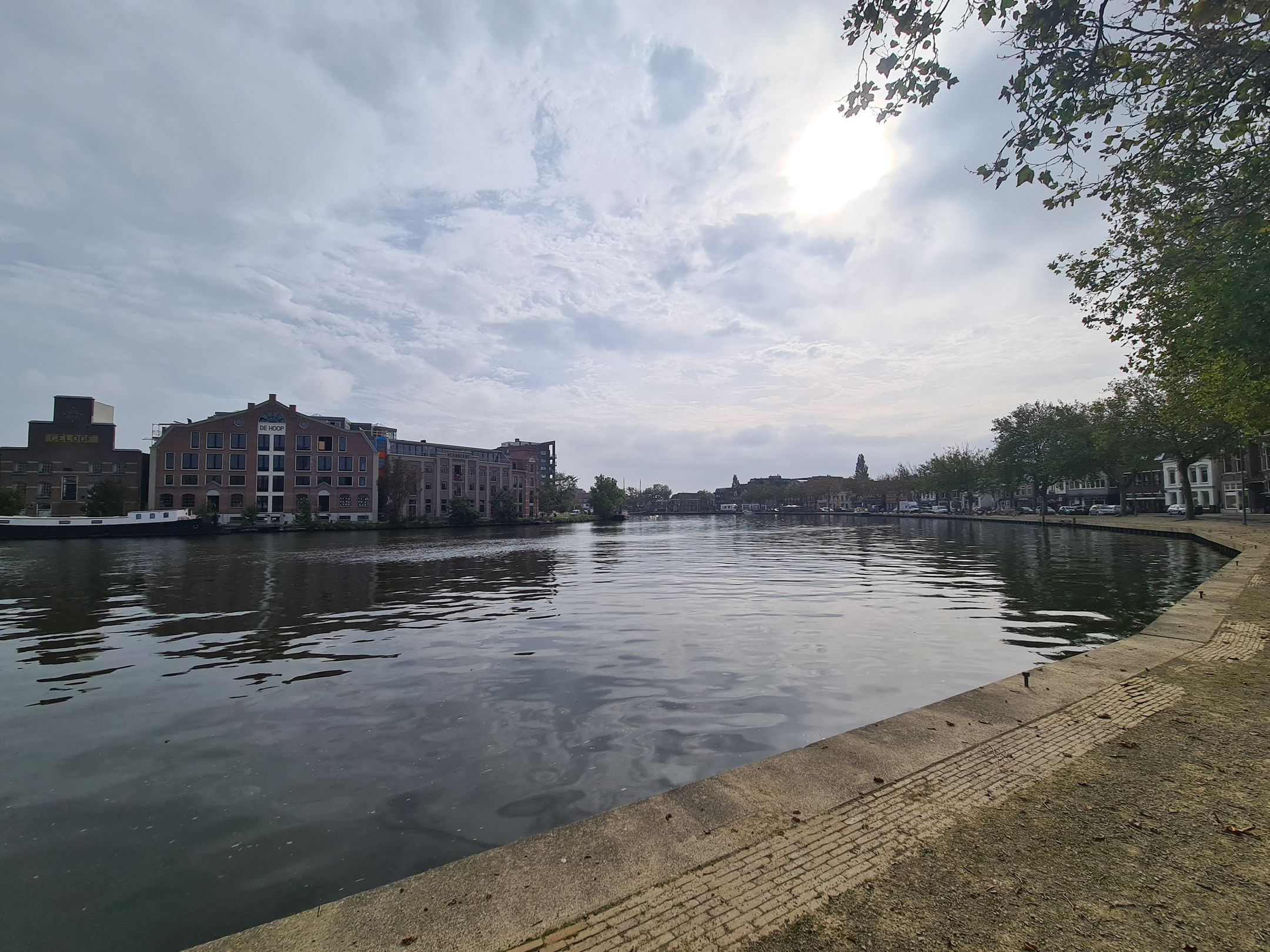 Foto 72 van Esdoornlaan 11