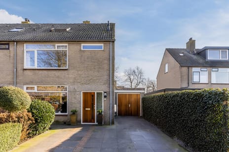 undefined main image