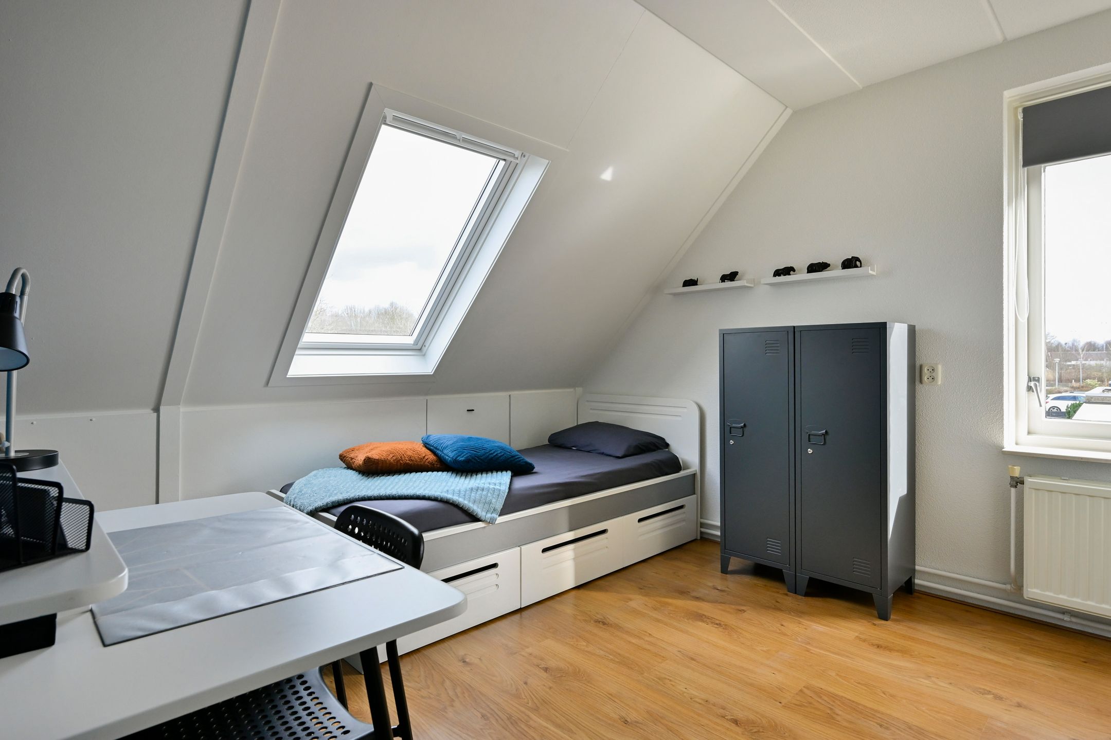 Photo 18 of Brandgans 31