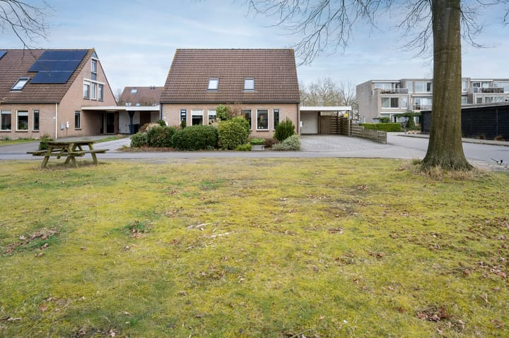 Foto 33 van Brandgans 31