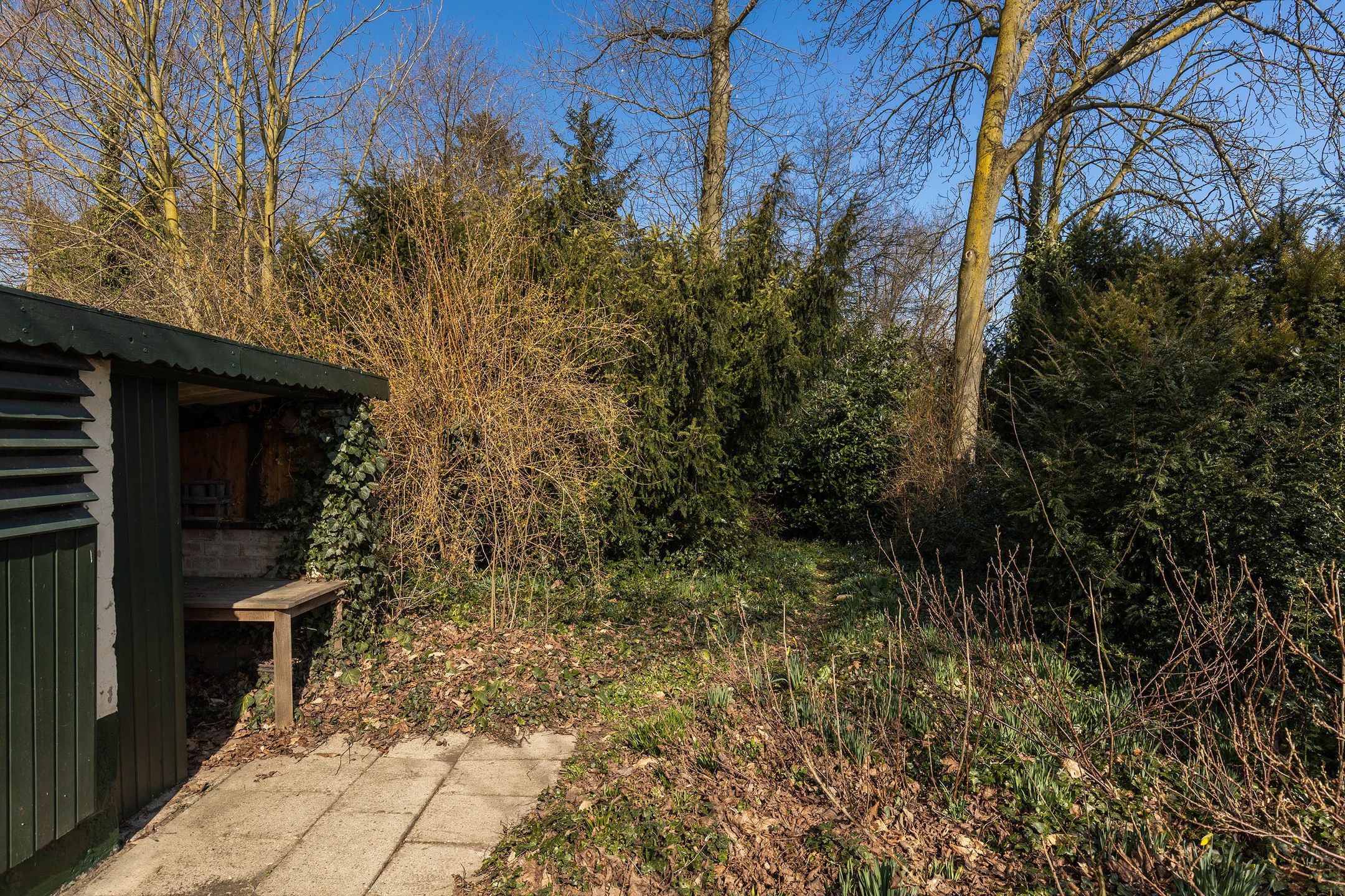 Foto 33 van Molenweg Noord 2